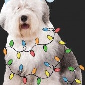 Tričko Vianočný pes unisex